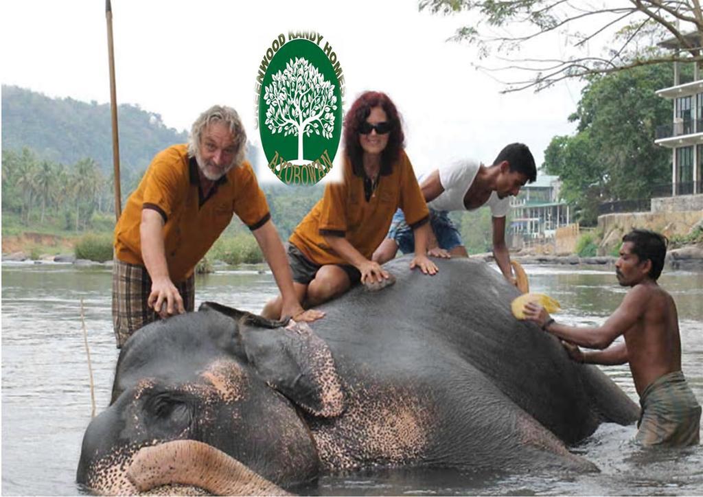Greenwood Kandy Homestay Екстер'єр фото