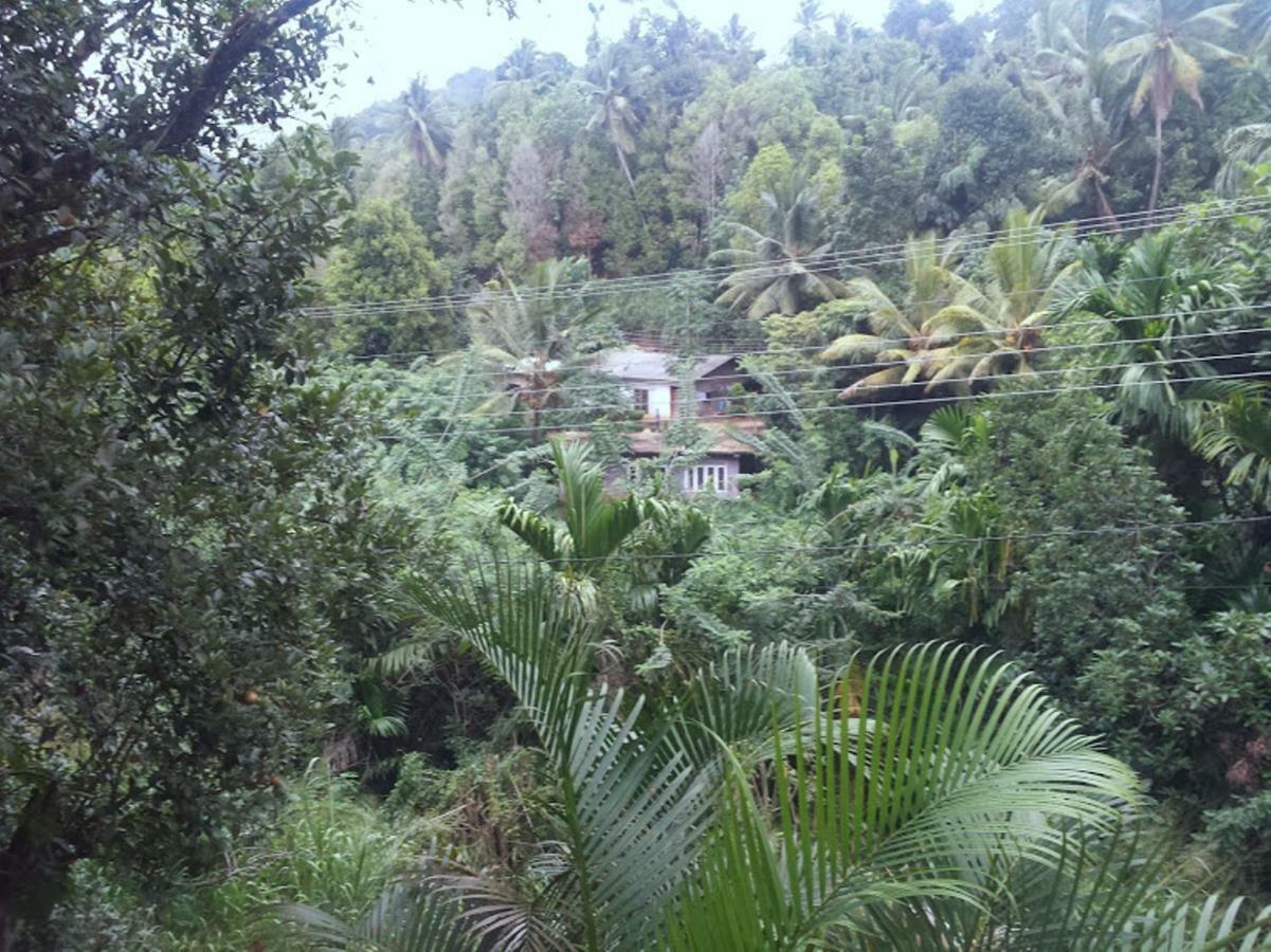 Greenwood Kandy Homestay Екстер'єр фото